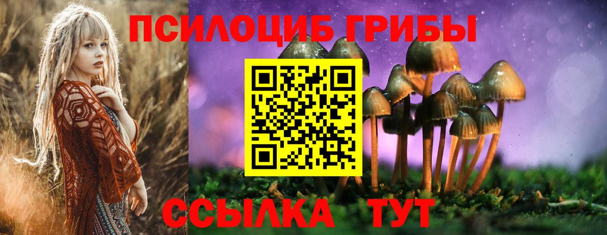 Галлюциногенные грибы прущие грибы Прохладный